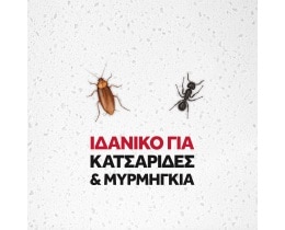 BAYGON | Κατσαριδικτόνο με Σωληνάκι 400ml