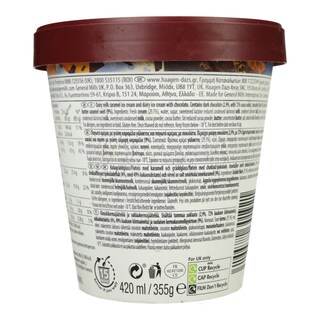 HAAGEN DAZS | Παγωτό DUO Dark Chocolate & Salted Caramel 355g