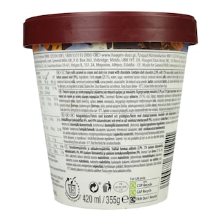 HAAGEN DAZS | Παγωτό DUO Dark Chocolate & Salted Caramel 355g