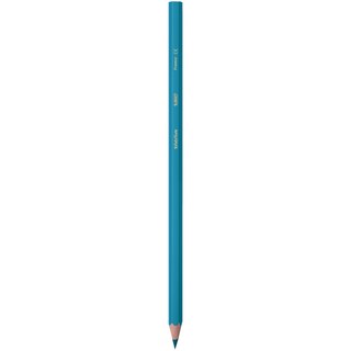 BIC | Ξυλομπογιές Kids Evolution ECOlutions 14+4 Τεμάχια