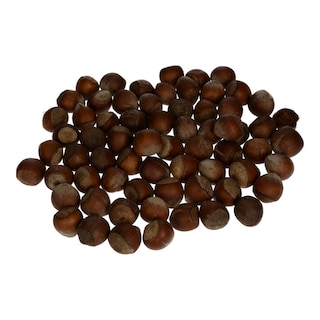 - | Φουντούκι Αμερικής