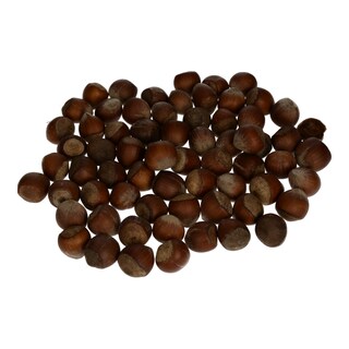 - | Φουντούκι Αμερικής