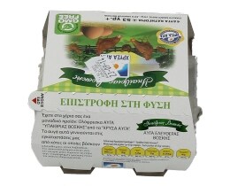 ΧΡΥΣΑ ΑΥΓΑ | ΑΥΓΑ ΕΛΕΥΘΕΡΑΣ ΒΟΣΚΗΣ MEDIUM 53/63 GR 4 ΤΕΜ