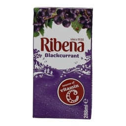 RIBENA | ΧΥΜΟΣ ΝΕΚΤΑΡ ΦΡΑΓΚΟΣΤΑΦΥΛΛΟ 288 ML
