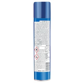 RAID | Εντομοκτόνο Spray Κουνούπια & Μύγες 300ml Έκπτωση 0.70Ε