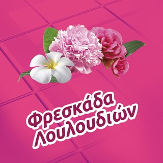 FABULOSO | Υγρό Καθαρισμού Φρεσκάδα Λουλουδιών 1lt 1+1 Δώρο