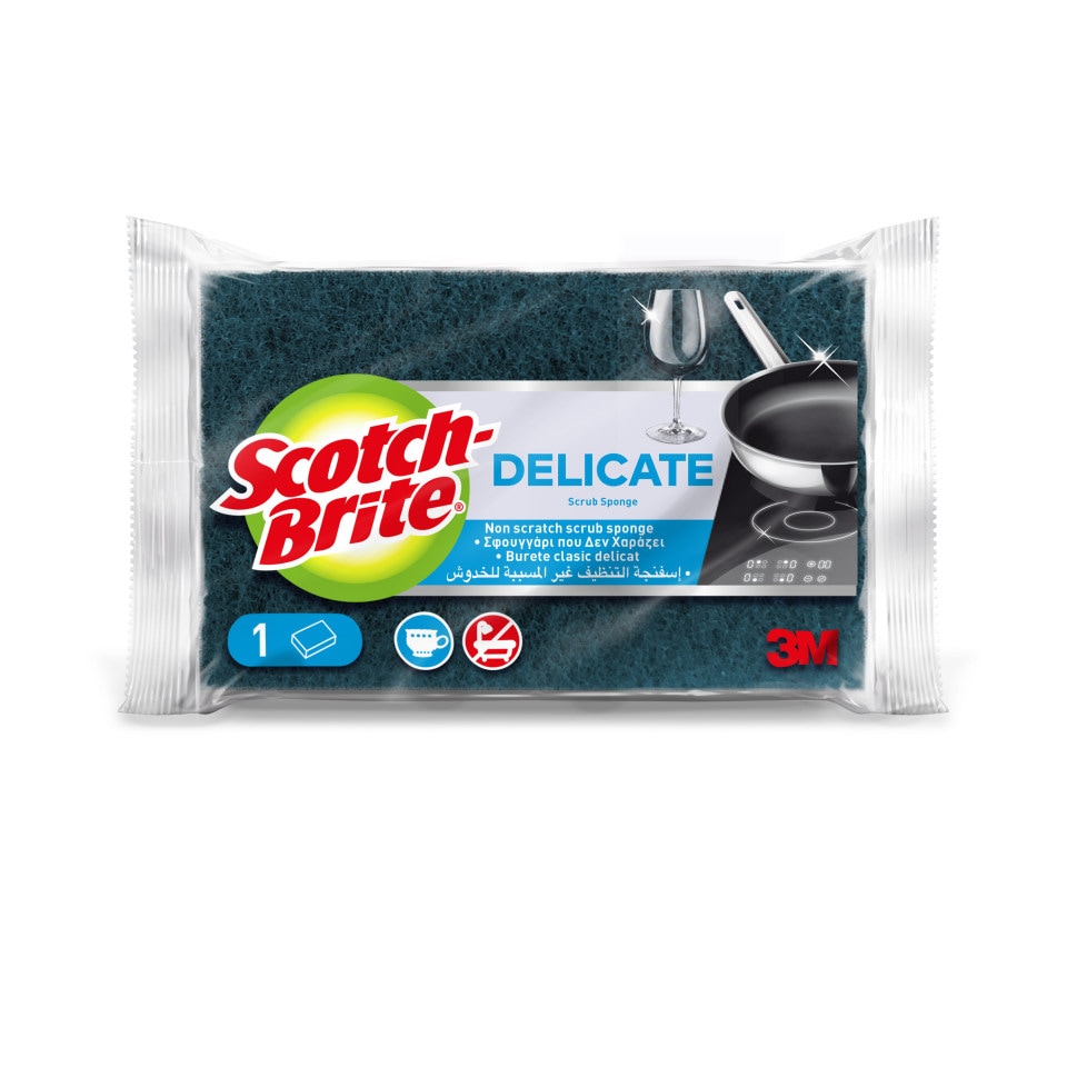 Σφουγγάρι Κουζίνας Delicate Δεν Χαράζει 1 Τεμάχιο