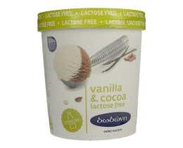 ΔΩΔΩΝΗ ΠΑΓΩΤΟ | Παγωτό Βανίλια Κακάο Χωρίς Λακτόζη 600gr