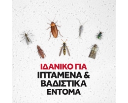 RAID | Εντομοκτόνο Spray Multi Insects 400ml