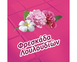 FABULOSO | Υγρό Καθαρισμού Φρεσκάδα Λουλουδιών 1lt 1+1 Δώρο