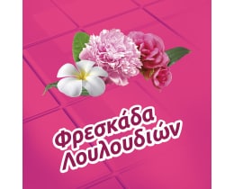 FABULOSO | Υγρό Καθαρισμού Φρεσκάδα Λουλουδιών 1lt 1+1 Δώρο