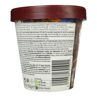 HAAGEN DAZS | Παγωτό DUO Dark Chocolate & Salted Caramel 355g
