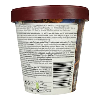 HAAGEN DAZS | Παγωτό DUO Dark Chocolate & Salted Caramel 355g
