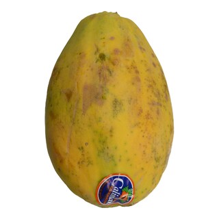 - | ΠΑΠΑΓΙΑ ΕΙΣΑΓΩΓΗΣ