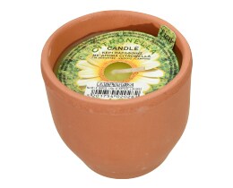 LION | ΚΕΡΙ  1 TEM