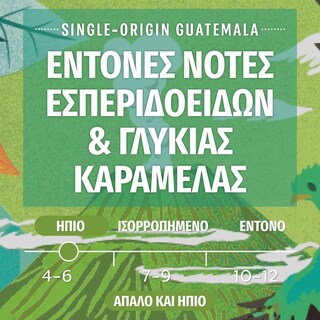 STARBUCKS | Κάψουλες Καφέ Espresso Guatemala 52g