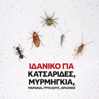 BAYGON | Εντομοκτόνο Barrier Spray Κατσαρίδες και Μυρμήγκια 500ml