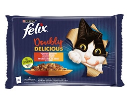 FELIX | e