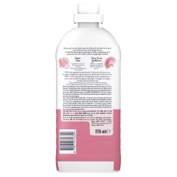 LENOR | Συμπυκνωμένο Μαλακτικό Peony & Hibiscus 56 Μεζούρες