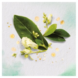 HERBAL ESSENCES | Σαμπουάν Golden Moringa Oil 400 ml