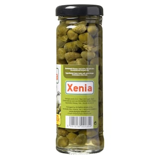 XENIA | .