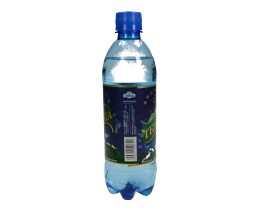 ΤΕΜΕΝΙΑ | ΝΕΡΟ ΑΝΘ/ΧΟ PET 500ML
