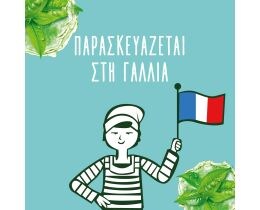 LE PETIT MARSEILLAIS | Σαμπουάν Detox Βιολογικό Πράσινο Τσάι 300ml 1+1 Δώρο