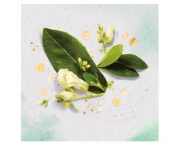 HERBAL ESSENCES | Σαμπουάν Golden Moringa Oil 400 ml