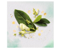 HERBAL ESSENCES | Σαμπουάν Golden Moringa Oil 400 ml