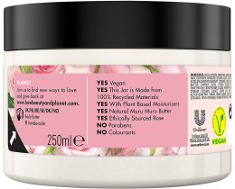 LOVE BEAUTY AND PLANET | BODY BUTTER ROSE 250 ML
