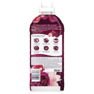 LENOR | Συμπυκνωμένο Μαλακτικό Bliss Ruby Jasmine 55 Μεζούρες