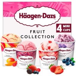 Παγωτό Fruit Collection 4 Mini Cups 326g
