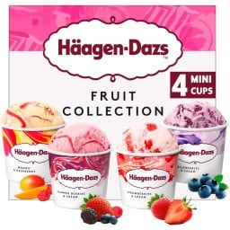 HAAGEN DAZS | Ice Cream Fruit Collection 4 Mini Cups 326g