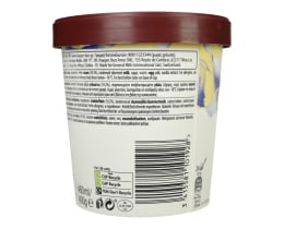 HAAGEN DAZS | Ice Cream Vanilla Vanilla 400g