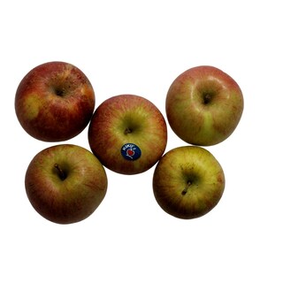 KIKU | ΜΗΛΑ KIKU ΧΥΜΑ ΕΛΛΗΝΙΚΑ