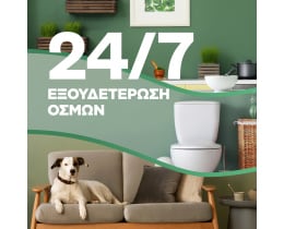 AIRWICK | Αρωματικό Χώρου Freshmatic Wild Rose & Patchouli Refill 250ml