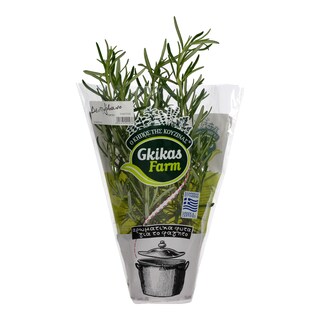 - | ΔΕΝΔΡΟΛΙΒΑΝΟ ΣΕ ΓΛΑΣΤΡΑΚΙ ΤΕΜΑΧΙΟ ΕΛΛΗΝΙΚΟ 1 TEM