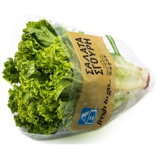 ΑΒ | Green Curly Salad Greek 1 Piece