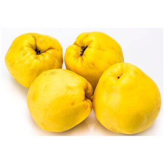 - | ΚΥΔΩΝΙΑ ΕΛΛΗΝΙΚΑ