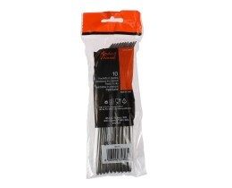 - | ΠΙΡΟΥΝΙΑ ΠΛΑΣΤΙΚΑ ΑΣΗΜΙ 10 ΤΕΜ