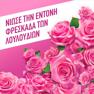 AJAX | FETE DES FLEURS | Υγρό Καθαρισμού Fete Des Fleurs Ρόδο Αυγής 1lt