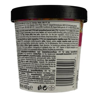 HAAGEN DAZS | Παγωτό Pralines & Cream 400gr