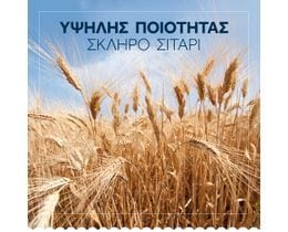 BARILLA | Κριθαράκι Μέτριο  500 gr