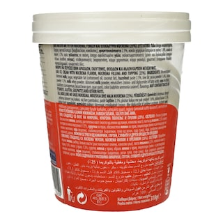 MASTER ION | Παγωτό Nucrema 500ml