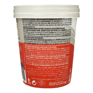 MASTER ION | Παγωτό Nucrema 500ml