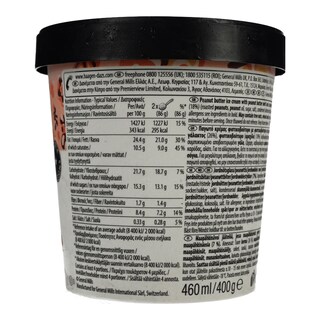 HAAGEN DAZS | HDZS PEANUT BUTTER CRUNCH PREM 460ML/400G
