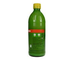 REALEMON | REALEMON XYMOΣ ΛEMONIOY 500ML