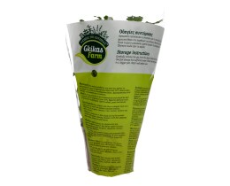 - | ΚΟΛΙΑΝΔΡΟΣ ΣΕ ΓΛΑΣΤΡΑΚΙ ΕΛΛΗΝΙΚΟ 1 ΤΕΜ