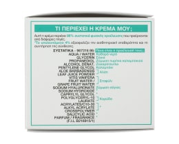 GARNIER | Κρέμα Προσώπου Hyaluronic Aloe Jelly 50ml