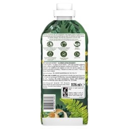 LENOR | Συμπυκνωμένο Μαλακτικό Ξύλο Κέδρου & Πεύκο 56 Μεζούρες